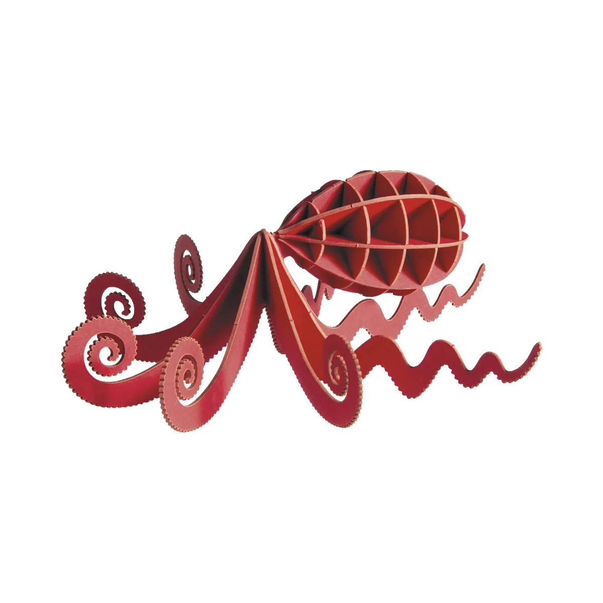 3DPapiermodell-Octopus-Fridolin-spezialkarton-gelasert-afgebaut-produktansicht