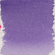 Violet P9904