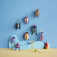 Small Insects  / Striped Wing Beetle