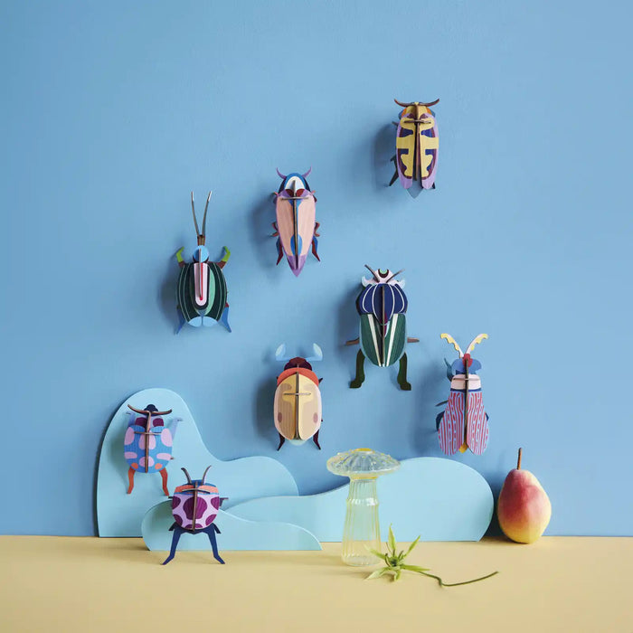 Small Insects  / Striped Wing Beetle