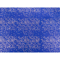 BP252F43-BogenFischschwarm-Siebdruck-43-koenigsblau-silber-Tudi-Billo-Produktansicht-ganzer-bogen