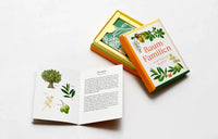 Baum-Familien_laurence.King-Verlag-Quartettspiel-cover-box-offen-mit-spielkarten