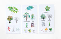 Baum-Wissen_Kartenspiel_lernspiel_lernkarten-1