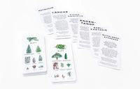Baum-Wissen_Kartenspiel_lernspiel_Produkt_lernkarten-2
