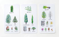 Baum-Wissen_Kartenspiel_lernspiel_Produkt_Lernkarten-3