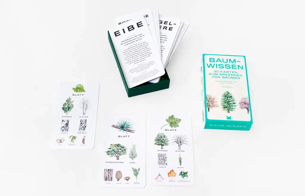 Baum-Wissen_Kartenspiel_lernspiel_Produkt_Box-verpackung-geöffnet+lernkarten