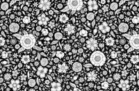 EMF | Ausmalheft | Inspiration | Motiv:  Blumenwiese  Black Edition