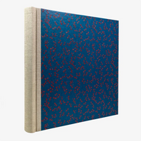 Blaupause-Fotolbum-30x30cm-deagonfly-red-on-blue-60-Seiten-cover-seitlich--von-hinten