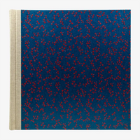 Blaupause-Fotolbum-30x30cm-deagonfly-red-on-blue-60-Seiten-cover-von-vorn