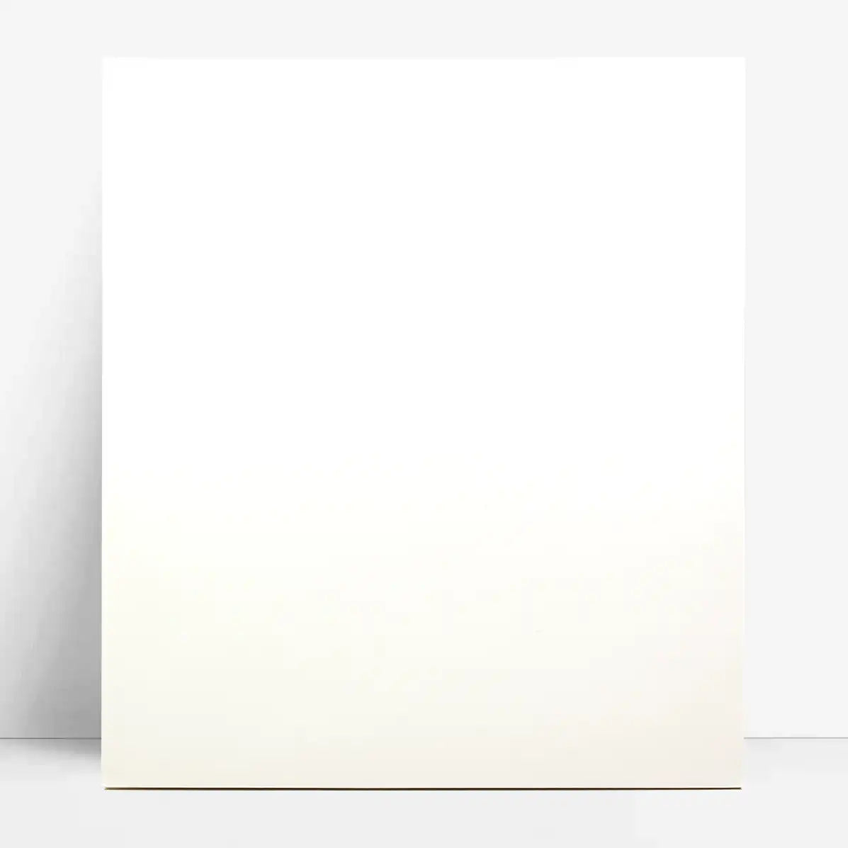 Japanese Paper Place | Sumi-e & Shodo Malblock | 30 Blatt im traditionellen Shikishi-Format