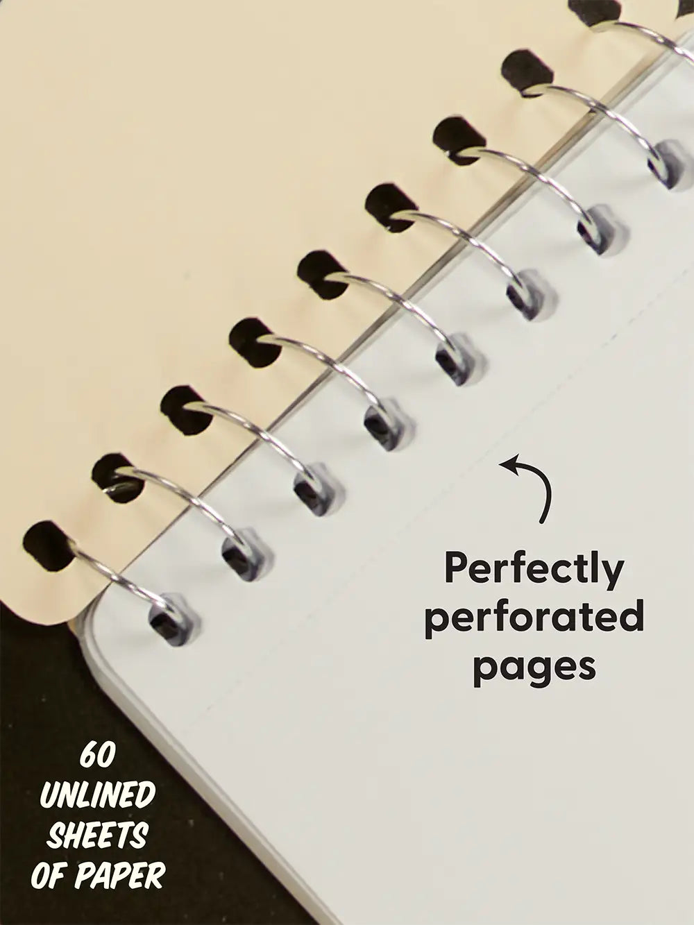 Blueq-Pocket-Notizblock-Diary-Of-A-Dog-127x76mm-innenansicht