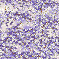 Chiyogami-Papier-Floral-778C-Bluetenmeer-flieder-Ausschnitt-1