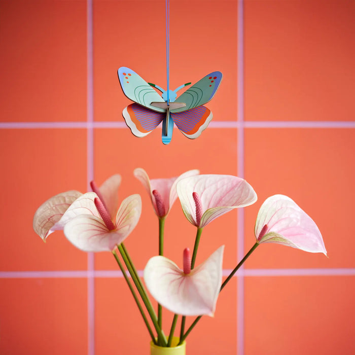 Lucky Charm / Dotted butterfly