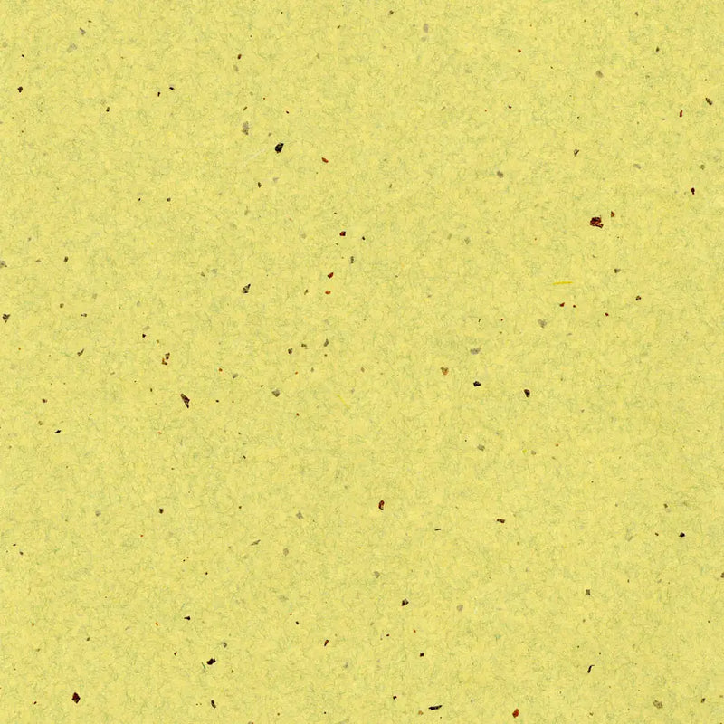 Japan Papier / Dai Chiri / Green
