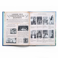 Der-feen-Atlas-gedrucktes-buch-blick-ins-buch-2