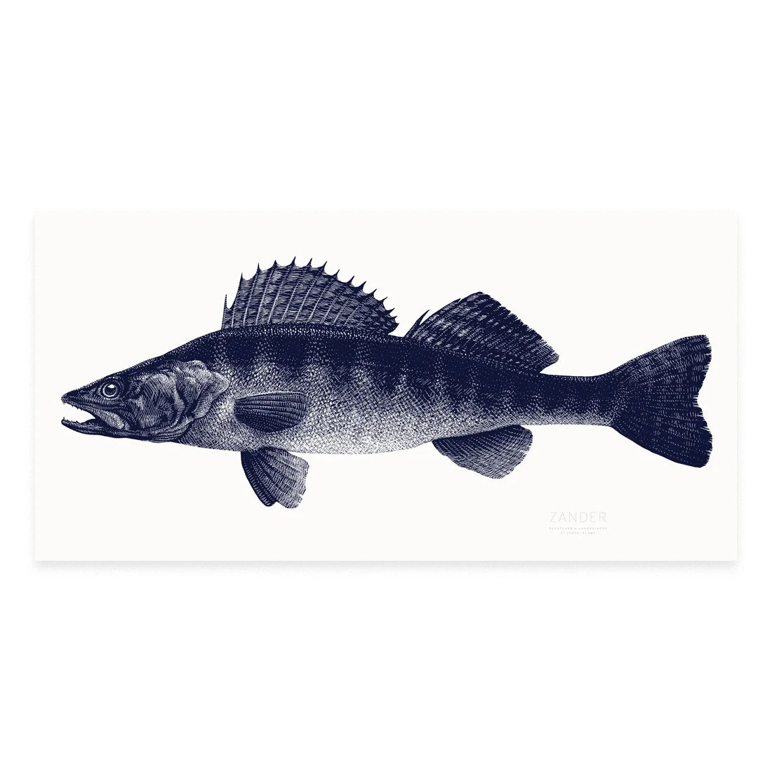 Fische_Siebdruck-Zander_Janta_island_print
