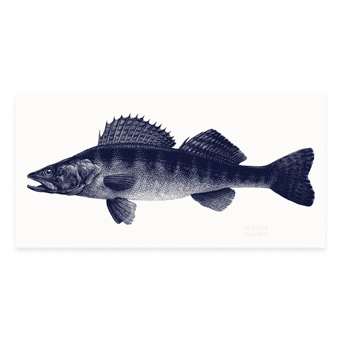 Fische_Siebdruck-Zander_Janta_island_print