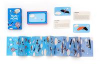 Laurence_King-Flughoehe-Produktansicht-Box-offen-mit-inhalt3