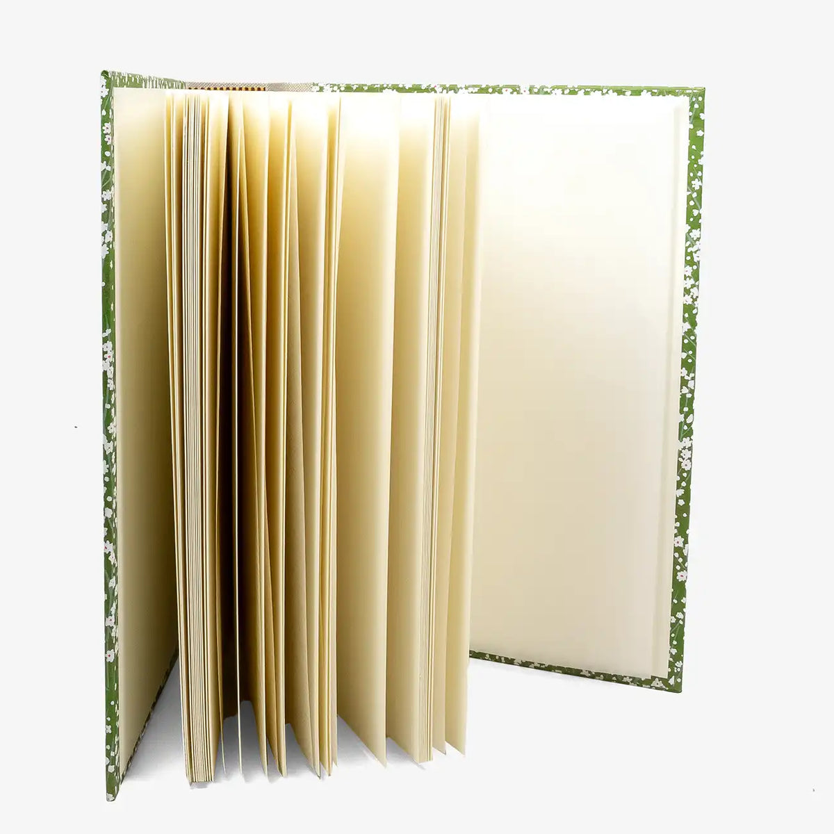 Fotoalbum-Format-24x20cm-60Seiten-creme-Fotokarton-Cover-Chiyogami-Motiv-kleine-blueten-auf-gruen-aufgefaechert