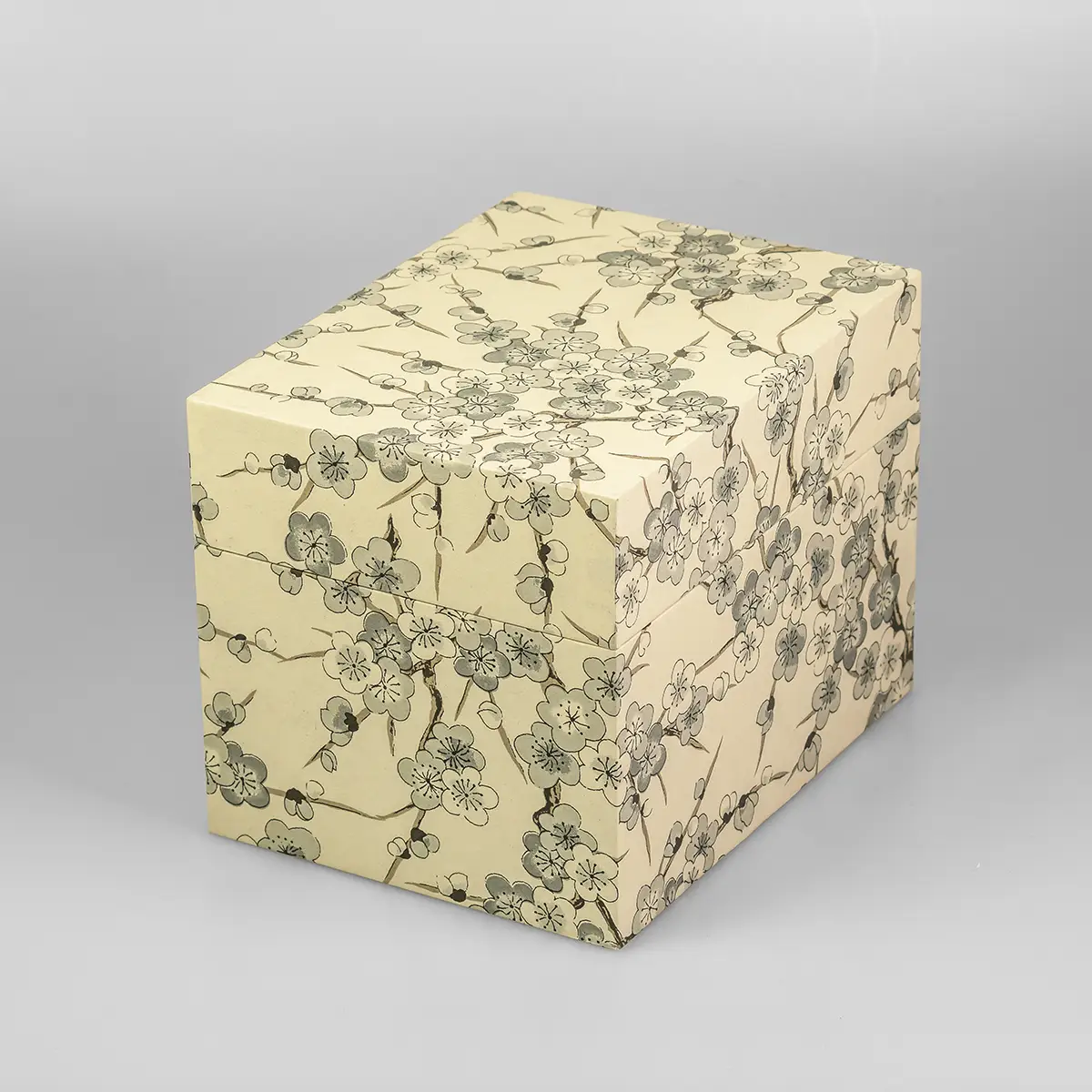Fotobox / Chiyogami / Kirschblüte auf beige