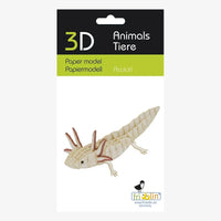 Fridolin-3D-Papiermodell-Axolotl-aufgebaut-Verpackung