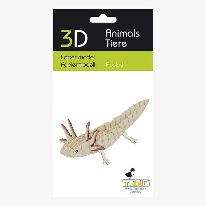 Fridolin-3D-Papiermodell-Axolotl-aufgebaut-Verpackung