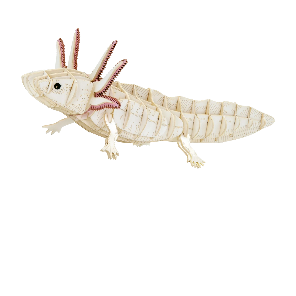 Fridolin-3D-_Papiermodell-Axolotl-aufgebaut