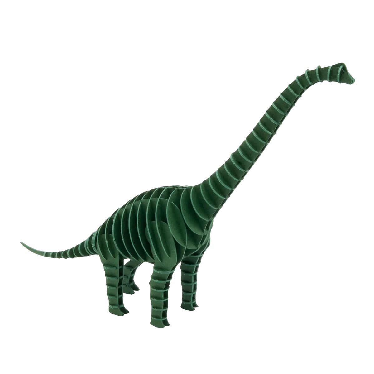 3D Papiermodell /  Brachriosaurus