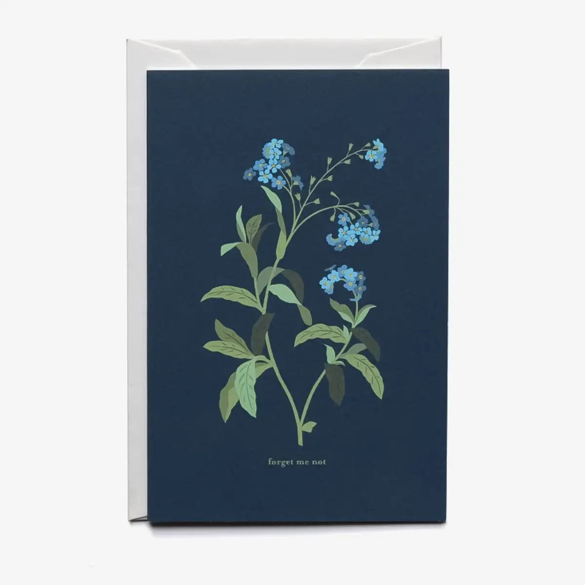 Haferkorn_Sauerbrey_-Trauerkarte-Kondolenzkarte-Forget-Me_-Not-B6-mit-Umschlag