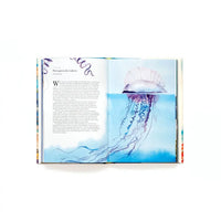 Laurence King Verlag / In 80 Meerestieren um die Welt / Hardcover