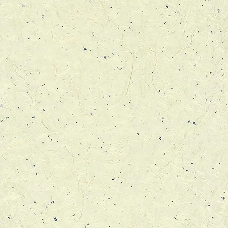 Japan Papier / Susa Iri / Ivory