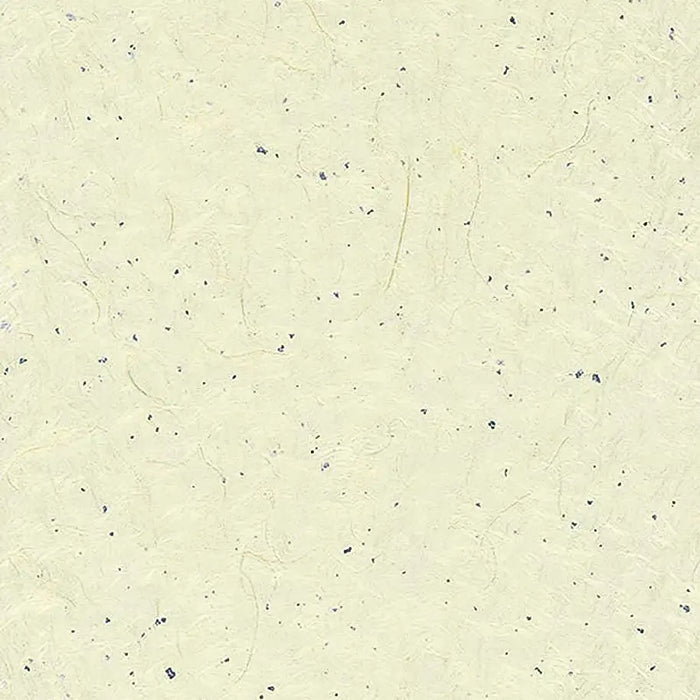 Japan Papier / Susa Iri / Ivory