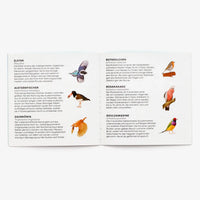 Kartenspiel-Laurence-king-verlag-Ein-Suchspiel-Finde-den-Vogel-fuer-die-ganze-Familie-ab-6-Jahren-Booklet
