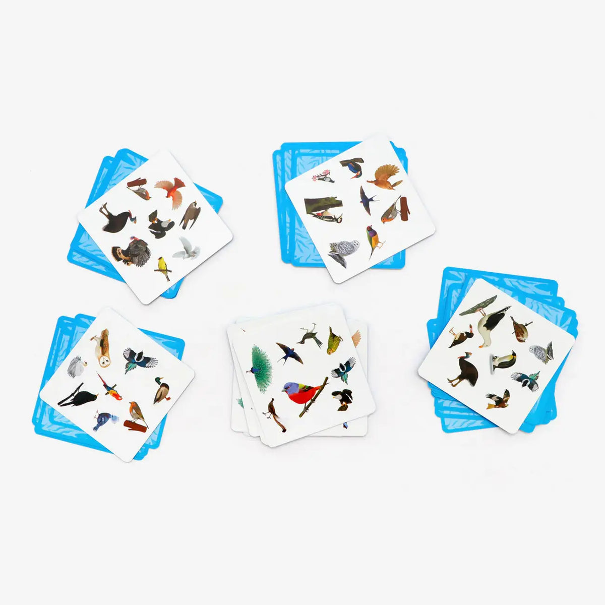 Kartenspiel-Laurence-king-verlag-Ein-Suchspiel-Finde-den-Vogel-fuer-die-ganze-Familie-ab-6-Jahren-Inhalt-4
