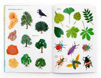 LAurence-KIing-verlag-Nina-Chakrabarti-Hallo-Sommer_-Ein-Stickerbuch-PRoduktansicht-inhalt-6