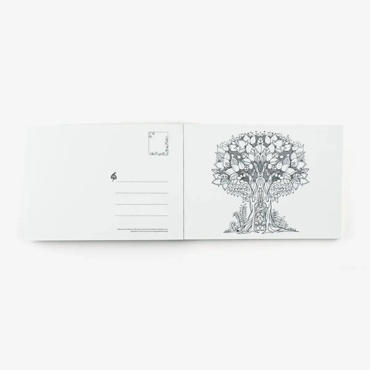 Laurence-King-verlag-20Postkarten-ausmalbuch-Enchanted-Forest-von-Johanna-Basfords-innenansicht-3