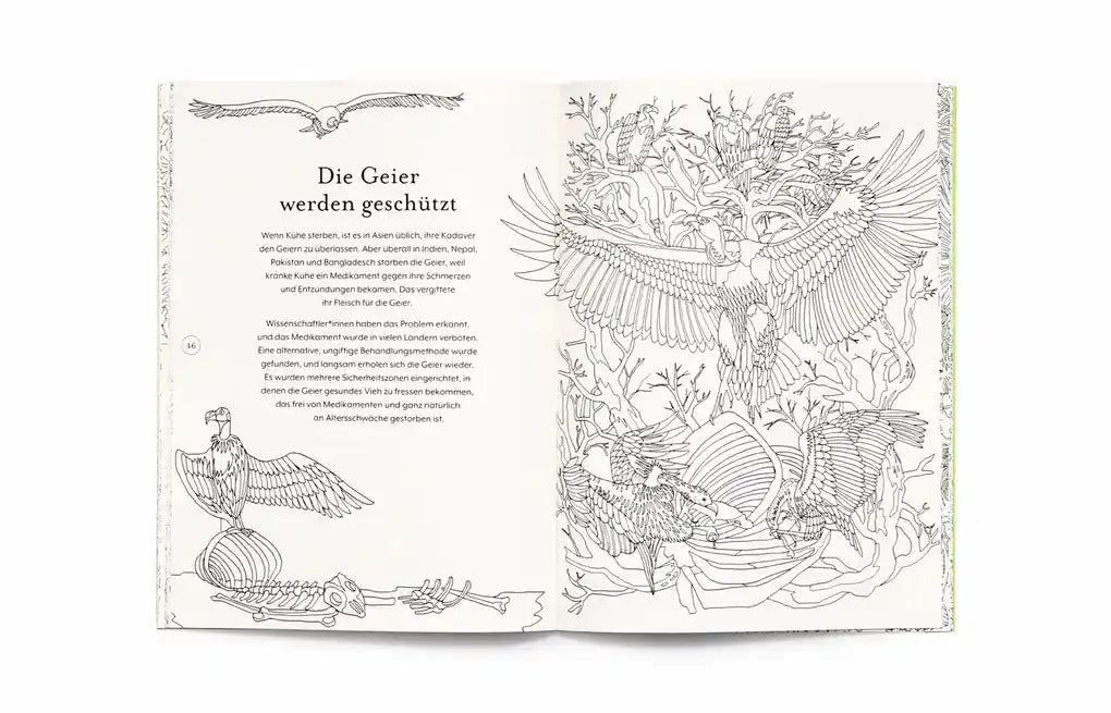Laurence King Verlag | Die Rückkehr der Wildnis | Ausmalbuch