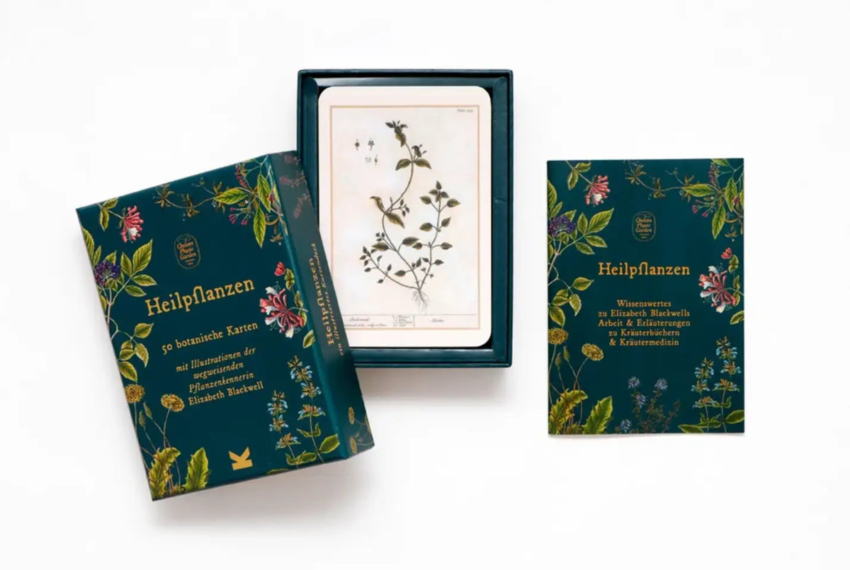 Laurence-King-Verlag-Heilpflanzen-50-botanische-Karten-Produktansicht-Box-geöffnet-mit-inhalt