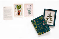 Laurence-King-Verlag-Heilpflanzen-50-botanische-Karten-Produktansicht-Box-Cover-geöffnet-mit-inhalt