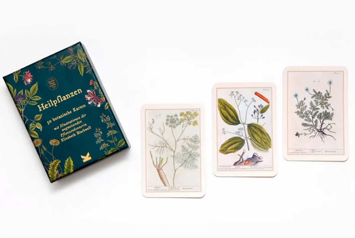 Laurence-King-Verlag-Heilpflanzen-50-botanische-Karten-Produktansicht-Box-Cover-mit-Inhalt5