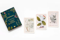 Laurence-King-Verlag-Heilpflanzen-50-botanische-Karten-Produktansicht-Box-Cover-mit-Inhalt5