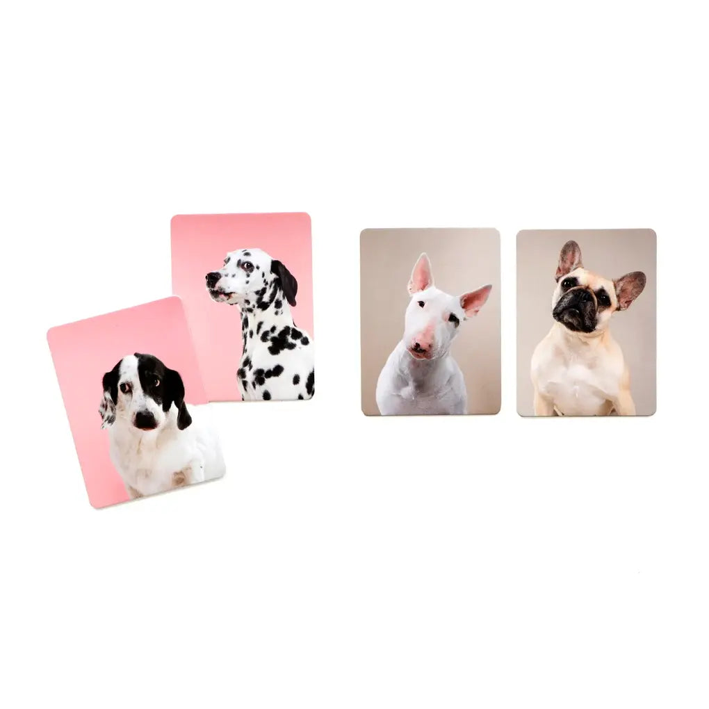 Memospiel-Laurence-king-verlag-Memo-Spiel_-Hundesprache_-Verstehst-du-deinen-Hund-ab-6Jahren-Inhalt3