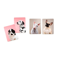 Memospiel-Laurence-king-verlag-Memo-Spiel_-Hundesprache_-Verstehst-du-deinen-Hund-ab-6Jahren-Inhalt3