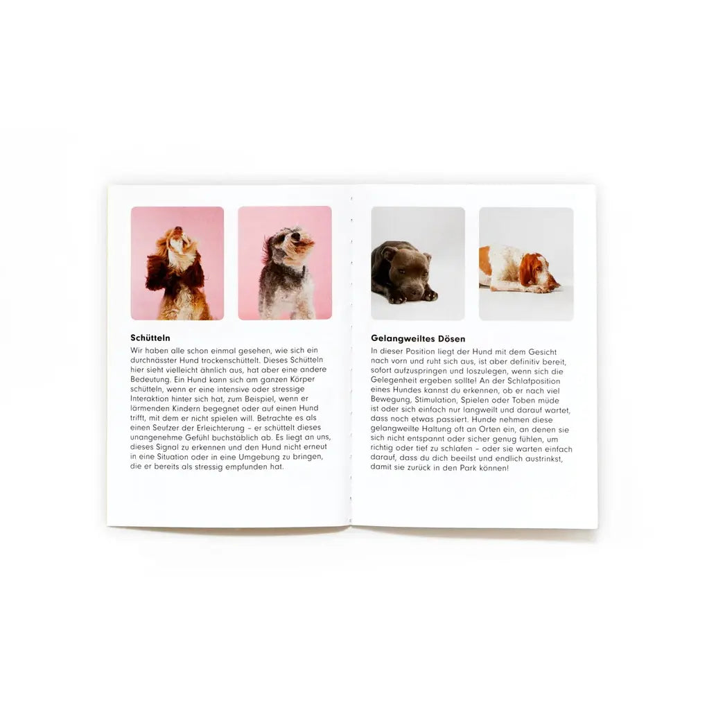 Memospiel-Laurence-king-verlag-Memo-Spiel_-Hundesprache_-Verstehst-du-deinen-Hund-ab-6Jahren-Booklet
