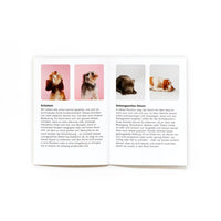 Memospiel-Laurence-king-verlag-Memo-Spiel_-Hundesprache_-Verstehst-du-deinen-Hund-ab-6Jahren-Booklet