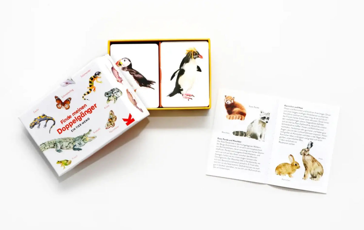 Laurence_King-memoryspiel-Finde-meinen-Doppelgaenger-Produktansicht-verpackung-box-ansicht-offen+inhalt
