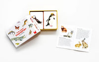 Laurence_King-memoryspiel-Finde-meinen-Doppelgaenger-Produktansicht-verpackung-box-ansicht-offen+inhalt