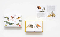 Laurence_King-memoryspiel-Finde-meinen-Doppelgaenger-Produktansicht-verpackung-box-ansicht-ofen+inhalt+anleitung