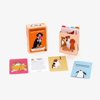 Lernkarten-Laurence-King-Verlag-Hundeschule-50-Karten-mit-Spielen-Trainingstipps-Verpackung-und-Inhalt-1