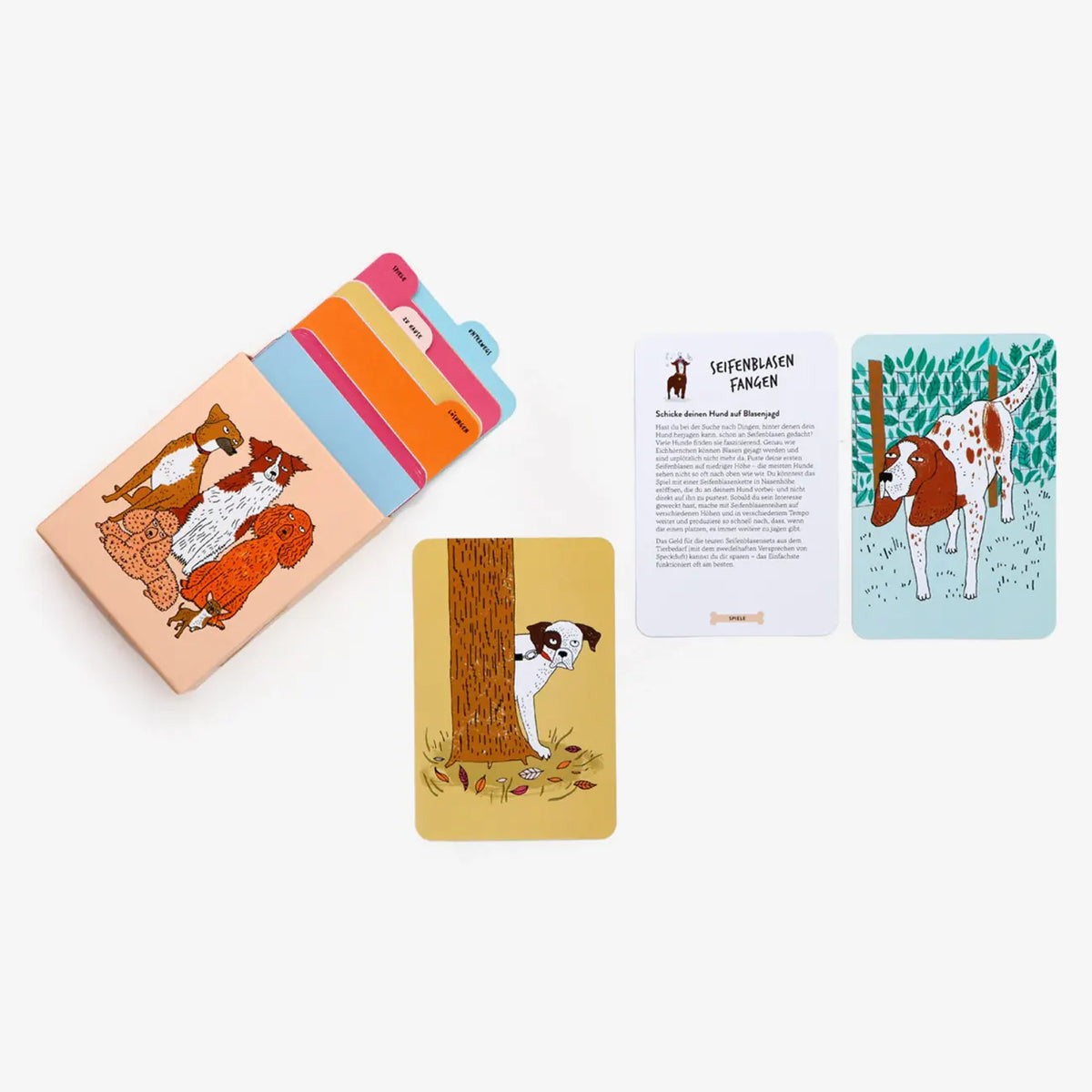 Lernkarten-Laurence-King-Verlag-Hundeschule-50-Karten-mit-Spielen-Trainingstipps-Verpackung-und-Inhalt-2